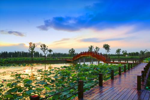 南京市高淳區(qū)國(guó)際慢城.固城湖生太景區(qū)